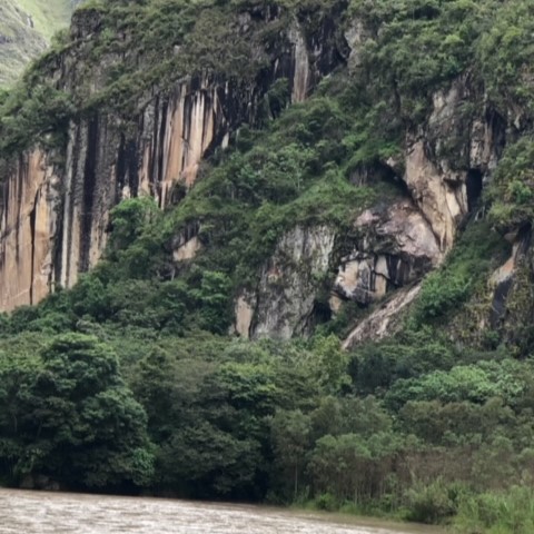 Jungle cliffs